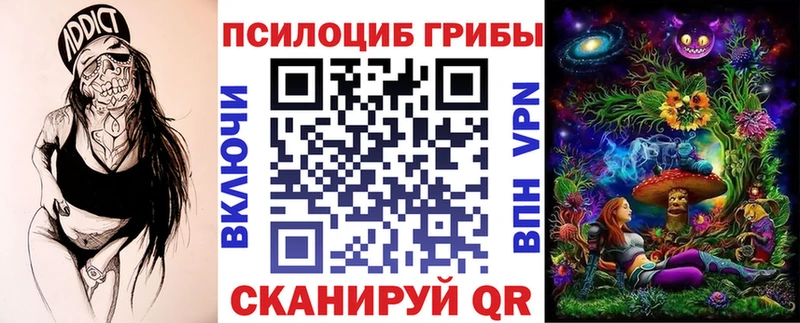OMG Димитровград Псилоцибиновые грибы ЛСД цены наркотик