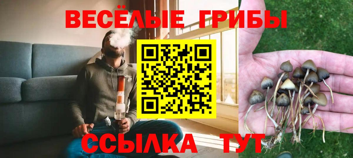 Галлюциногенные грибы MAGIC MUSHROOMS Димитровград